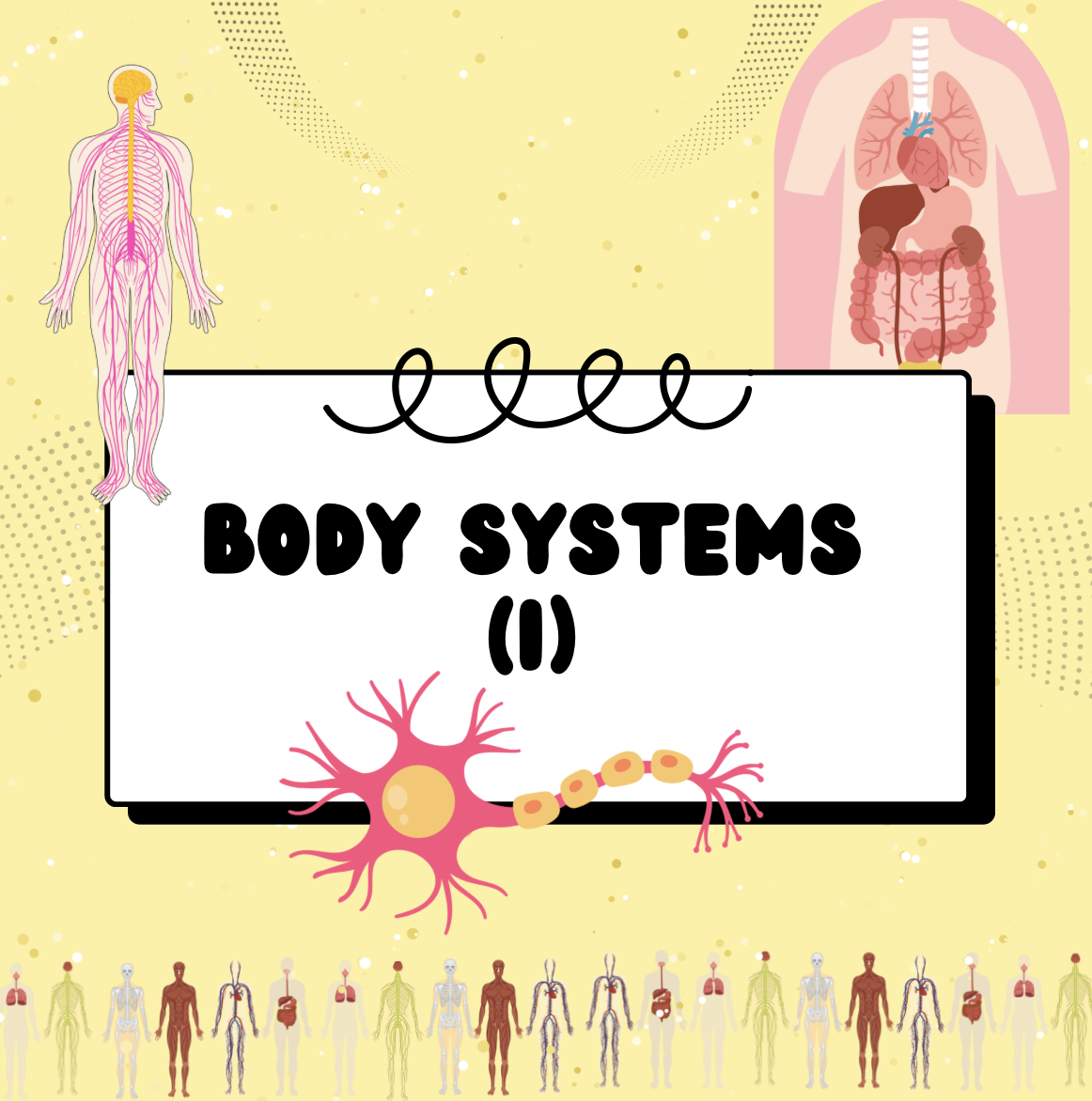 Body Systems (II) Unit